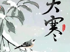 <b>大寒!</b>