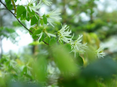 <b>九九已至，春暖花开</b>