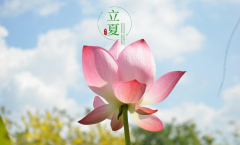 <b>中爵管业与立夏：共赴蓬勃之约</b>