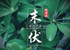 <b>走过末伏，与盛夏好好告别</b>